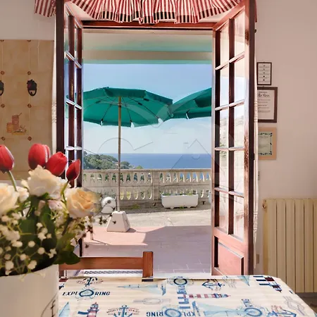 Flora - Goelba